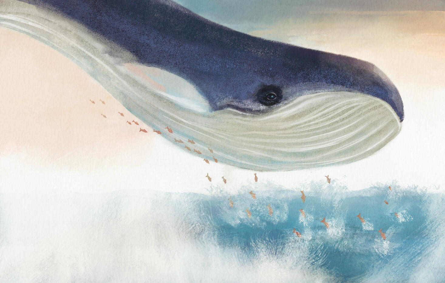 Doble página de álbum ilustrado con una ballena que entra en el agua rodeada de peces justo antes de eso parecía flotar en el aire.